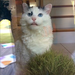 Meet your Posher, Steph